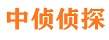 环江侦探公司